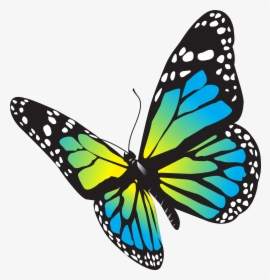 Large Butterfly Png Clip Art Image Png Download, Transparent Png, Transparent PNG