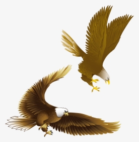 Transparent Eagle Symbol Png - Drawing Eagle, Png Download, Transparent PNG