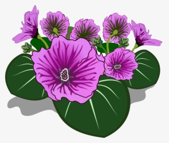 ดอกไม้ ภาพ ตัด ปะ, HD Png Download, Transparent PNG
