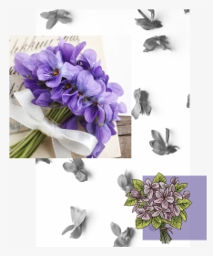 Explore Violet Bouquet - Букет Фиалок С Днем Рождения, HD Png Download, Transparent PNG