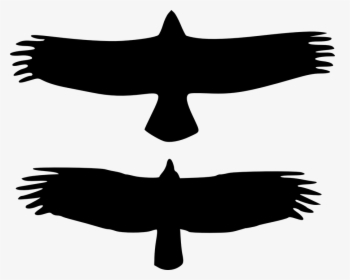 Eagle Silhouette Cliparts 23, Buy Clip Art - Eagle Vs Vulture Silhouette, HD Png Download, Transparent PNG