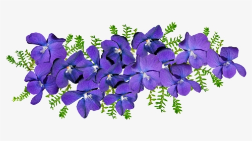 Violets, Flowers, Fern, Arrangement, Fragrant, Perfume - Violets Png, Transparent Png, Transparent PNG
