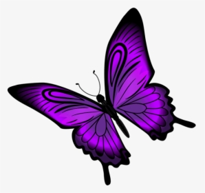 Purple Butterfly Png - Butterfly Clipart Purple, Transparent Png, Transparent PNG
