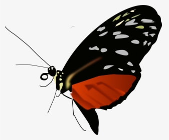 Dark Orange-black Butterfly Clip Arts - Butterflies Red Orange And Black, HD Png Download, Transparent PNG