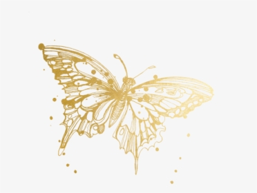 Butterfly Tattoos Temporary Accept Watercolor Tattly - Monarch Butterfly Tattoo Drawing, HD Png Download, Transparent PNG