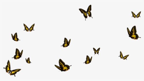 Flying Butterfly Download Png Image - Flying Butterfly Png Hd, Transparent Png, Transparent PNG