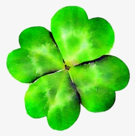 Four Leaf Clover, Clover, Green, St Patty S Day Png - Four Leaves Clover Png, Transparent Png, Transparent PNG