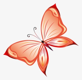 Butterfly - Butterflies Transparent Clipart, HD Png Download, Transparent PNG
