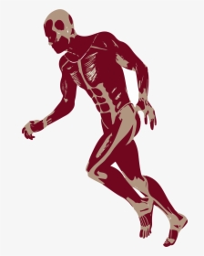 3d Man Png -3d Running Man Muscles Anatomy D Png - Muscles Png, Transparent Png, Transparent PNG