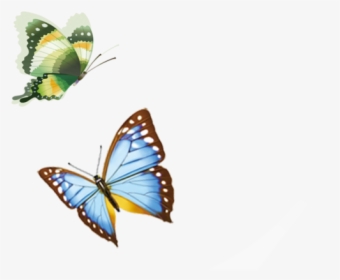 Butterfly Flying Png Download - Butterfly Flying Transparent, Png Download, Transparent PNG