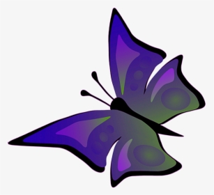 Drawing Of Flying Butterfly, HD Png Download, Transparent PNG