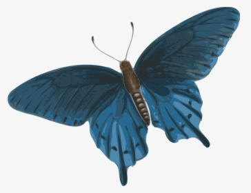 Butterfly Flying Png Gif - Dark Blue Butterfly Png, Transparent Png, Transparent PNG
