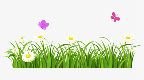 Summer Clipart Divider - Clipart Grass With Flowers, HD Png Download, Transparent PNG