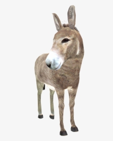 Donkey Png High-quality Image - Donkey Png, Transparent Png, Transparent PNG