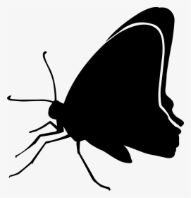 15 / Black Butterfly Clip Art Silhouette Image - Butterfly, HD Png Download, Transparent PNG