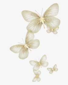 Butterfly Wing Moth Fly Sky Yellow Glitter Wind Flying - White Butterfly Transparent Background, HD Png Download, Transparent PNG
