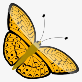 Butterfly Vector Gif Png, Transparent Png, Transparent PNG