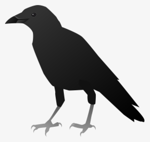 Transparent Flying Crows Png - Cuervos Para Dibujar Faciles, Png Download, Transparent PNG