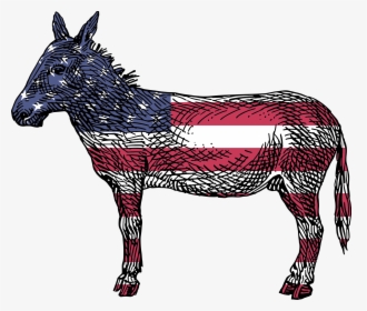 American Donkey, HD Png Download, Transparent PNG