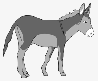 Donkey Clipart, HD Png Download, Transparent PNG