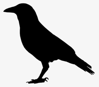 Primitive Crow Clipart Wikiclipart - Black Raven Clip Art, HD Png Download, Transparent PNG
