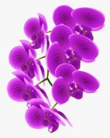 Collection Of Png - Purple Orchid Clip Art, Transparent Png, Transparent PNG