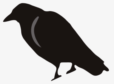 Crow Clipart Birds And Clip Art Photo Crowclipart - Crow Clip Art, HD Png Download, Transparent PNG