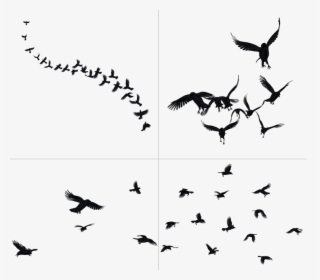 Crows In Flight Stock - Crows Png, Transparent Png, Transparent PNG