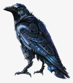 #mq #black #crow #bird #birds - Crow Drawing, HD Png Download, Transparent PNG