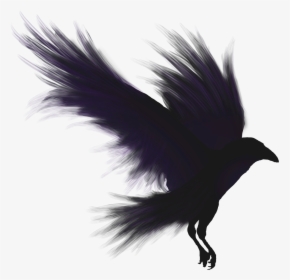 Raven Png - Shadow Of A Crow, Transparent Png, Transparent PNG