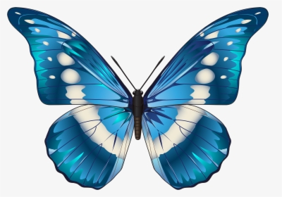 Blue Butterfly Png - Blue Morpho Butterfly Clip Art, Transparent Png, Transparent PNG