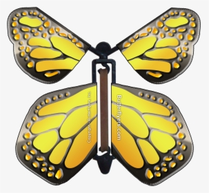 Flying Butterfly In Card, HD Png Download, Transparent PNG