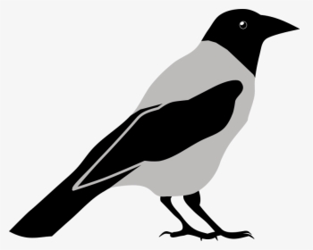 Clip Art Black And - Crow Clipart Black And White, HD Png Download, Transparent PNG