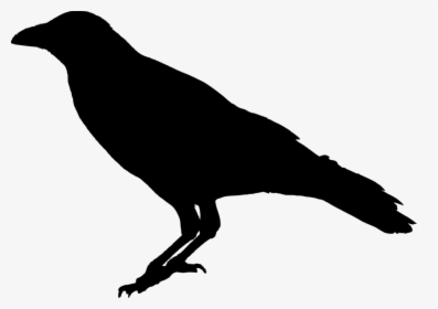 Raven Png - Silhouette Crow Transparent Background, Png Download, Transparent PNG