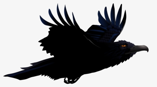 Download Raven Png Picture, Transparent Png, Transparent PNG