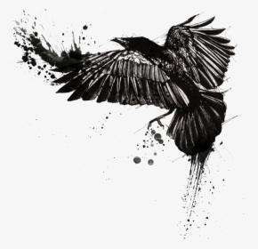 Tattoo Common Raven Trash Polka Crow - Trash Polka Crow Tattoo, HD Png Download, Transparent PNG