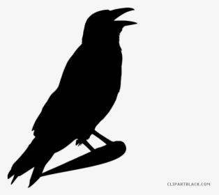 Halloween Crow Clipart - Black Halloween Crows Clip Art, HD Png Download, Transparent PNG