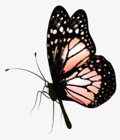 Http - //favata26 - Rssing - Com/chan-13940080/all - Png File Butterfly Gif, Transparent Png, Transparent PNG
