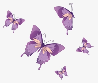 Transparent Purple Butterfly Background, HD Png Download, Transparent PNG