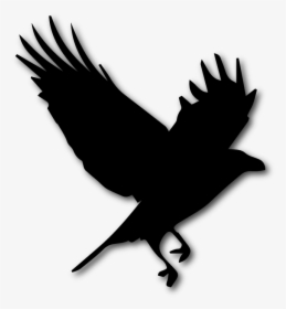 Black Crow Png, Transparent Png, Transparent PNG