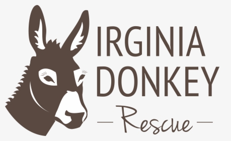 Donkey For Sale In Virginia Beach , Png Download - Burro, Transparent Png, Transparent PNG