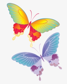 Real Colorful Butterfly Flying, HD Png Download, Transparent PNG