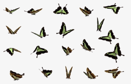 Download Butterflies Swarm Png File For Designing Projects - Butterfly Swarm Flying Butterfly Png, Transparent Png, Transparent PNG