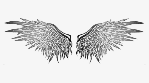 Wings Tattoos Png Image - Drawing Fallen Angel Wings, Transparent Png, Transparent PNG