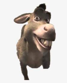 #freetoedit #shrek #donkey - Donkey Shrek, HD Png Download, Transparent PNG