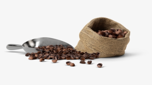 Coffee St Pete - Coffee Mockup Scene Creator, HD Png Download, Transparent PNG