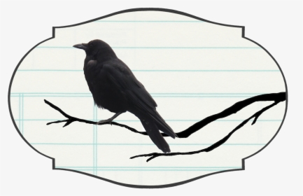 American Crow, HD Png Download, Transparent PNG