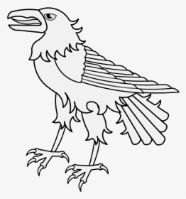 Sketch, HD Png Download, Transparent PNG