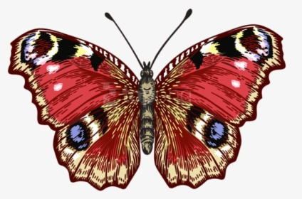 Red Butterfly Png - Brush-footed Butterfly, Transparent Png, Transparent PNG