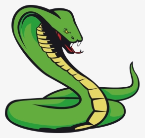 Transparent Background Snake Cartoon, HD Png Download, Transparent PNG
